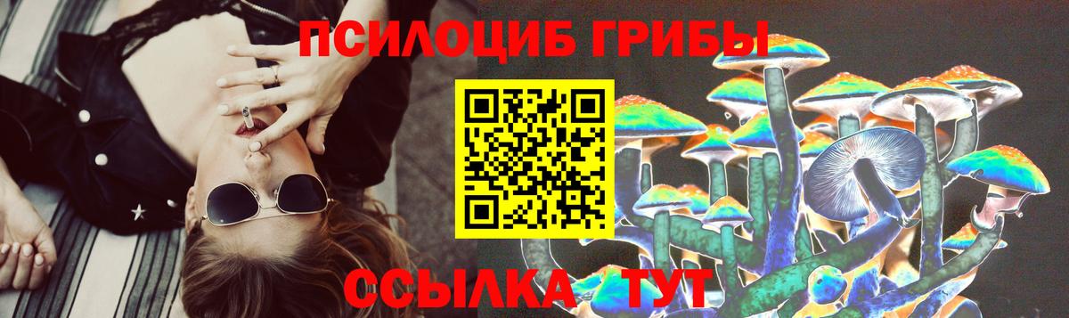 Кандалакша  Псилоцибиновые грибы Psilocybine cubensis  Вход с VPN 